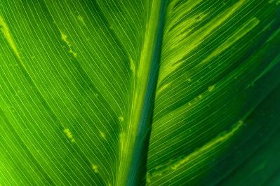 consulenza bilancio sostenibilità cosè img header