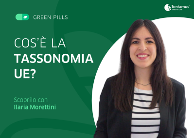 10 GP NEWS ILA TAX ITA 25