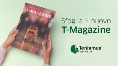 Img T Magazine DIC25