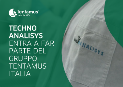 Imag news sito web techno analisys