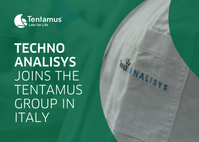 Imag news sito web techno analisys ENG